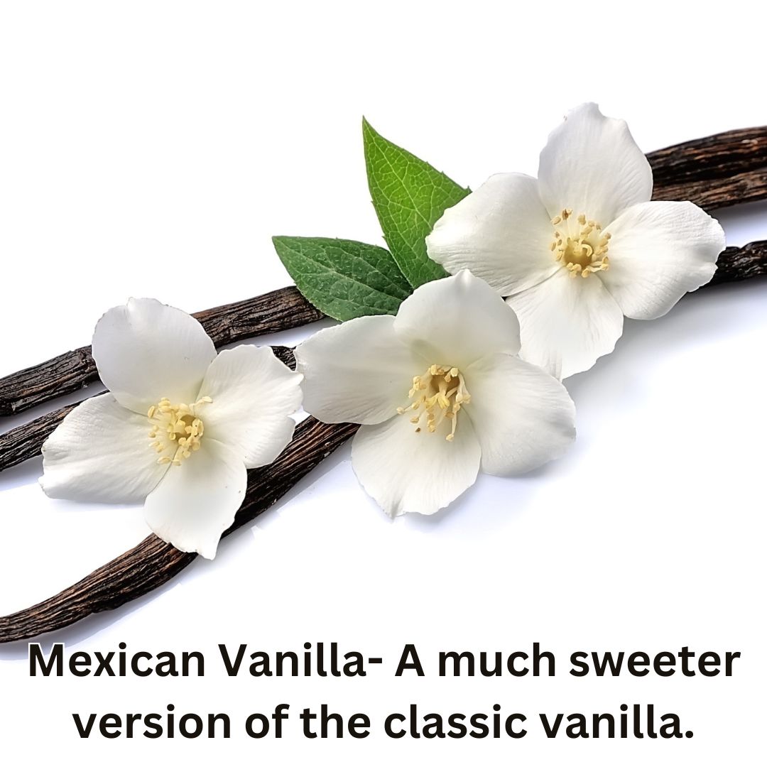 Mexican Vanilla