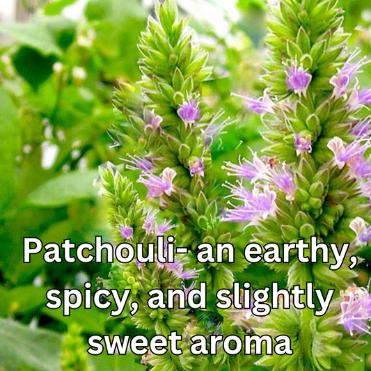 Patchouli