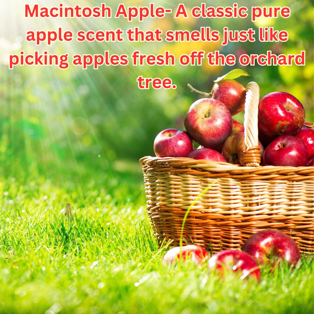 Macintosh Apple
