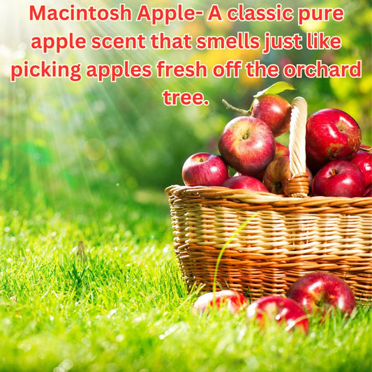 Macintosh Apple
