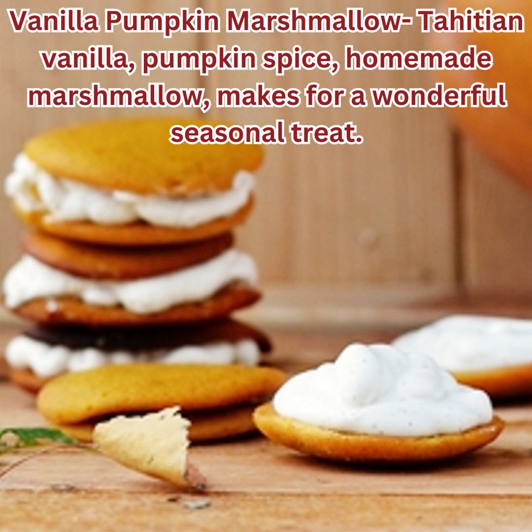 Vanilla Pumpkin Marshmallow