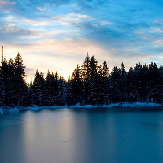 Frozen Lake